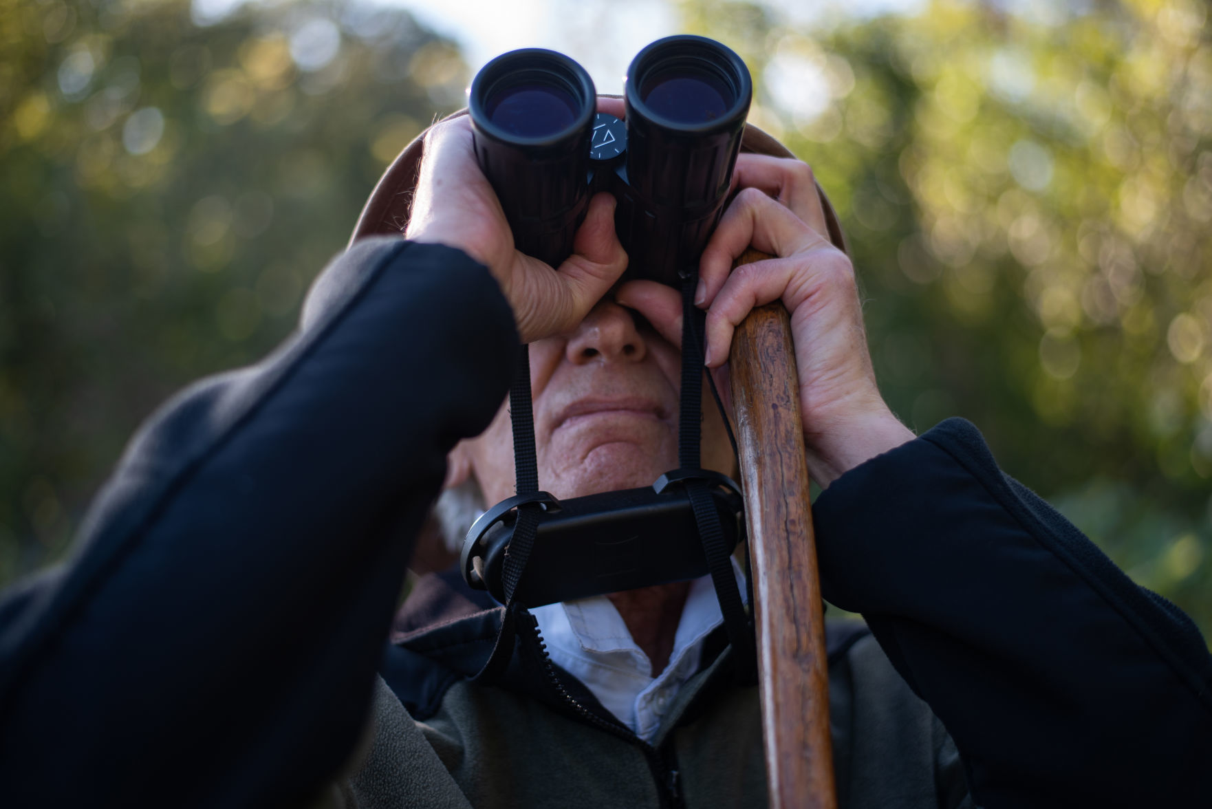 BIRD WATCH